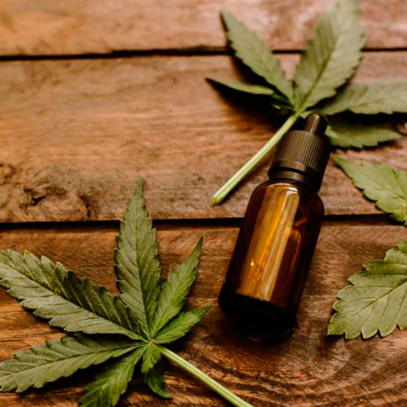 Aceite de Cannabis 1L - Imagen 2