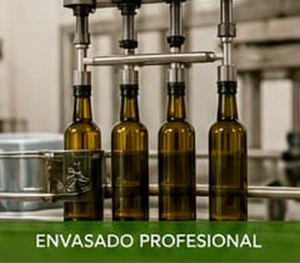 Aceites de Sol