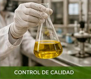 Aceites de Sol