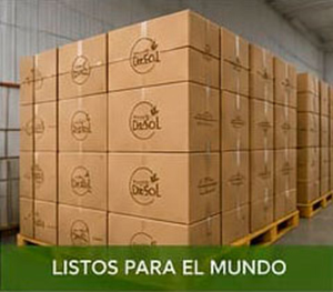 Aceites de Sol